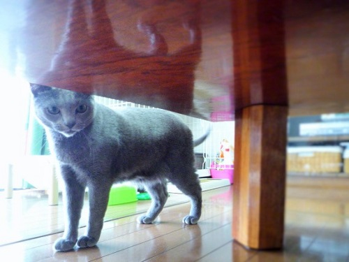 P1280566 (2).JPG
