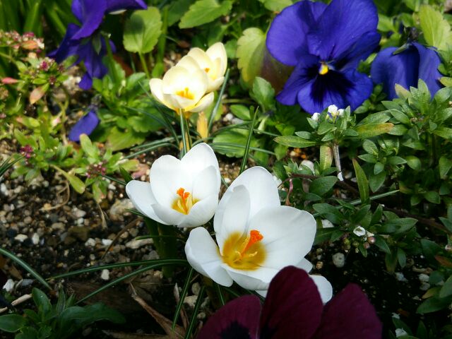 rblog-20140312225345-01.jpg