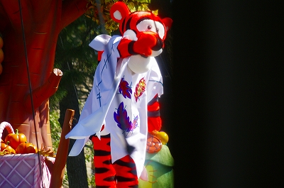 _IGP8064.jpg