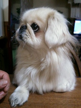 20130214-3.jpg