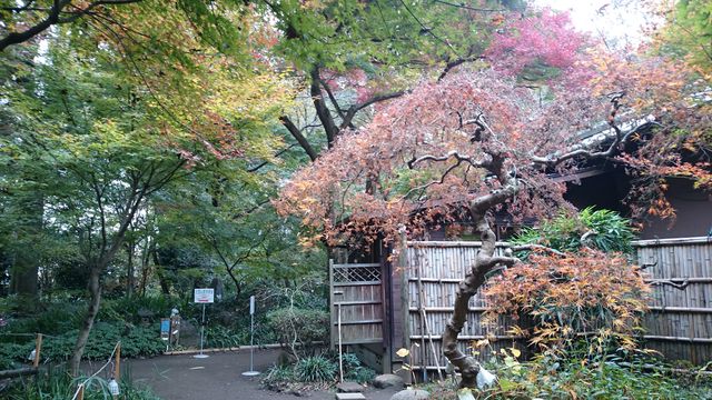 2015-11-22 10.07.45.jpg