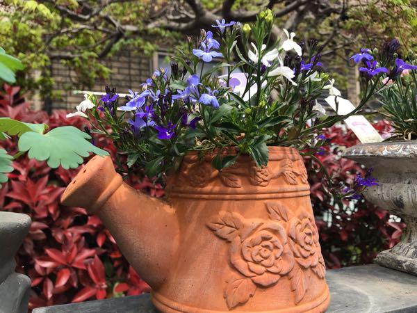 rblog-20190421190411-04.jpg