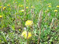 rblog-20130521190520-01.png