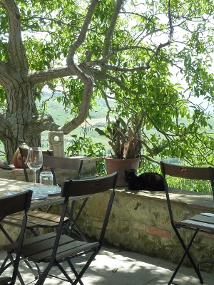 141 (300x400).jpg
