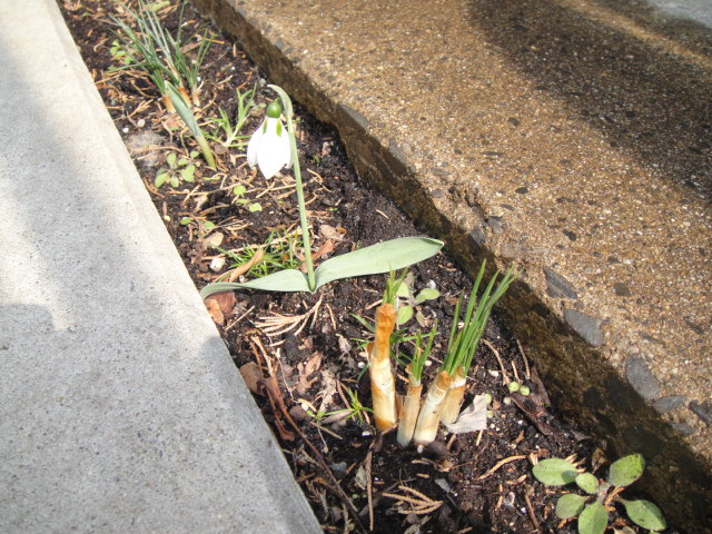 DSC05690.JPG