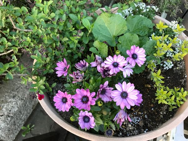rblog-20180408182201-05.jpg