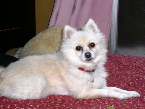 20121222ﾕｷ02.jpg