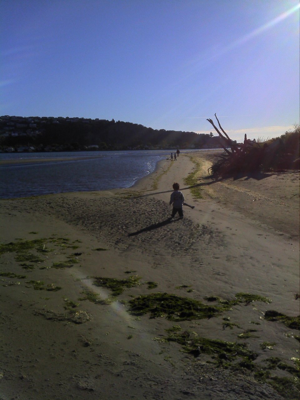 IMAGE010.jpg