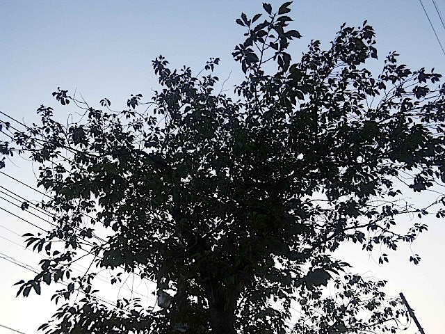 130608_183101.jpg