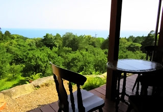 屋久島　樹の実　テラス