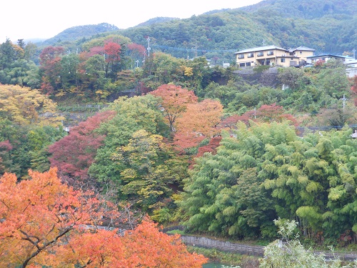 2014.10.23 kouyou2.jpg