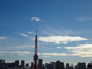 DSC01146.jpg