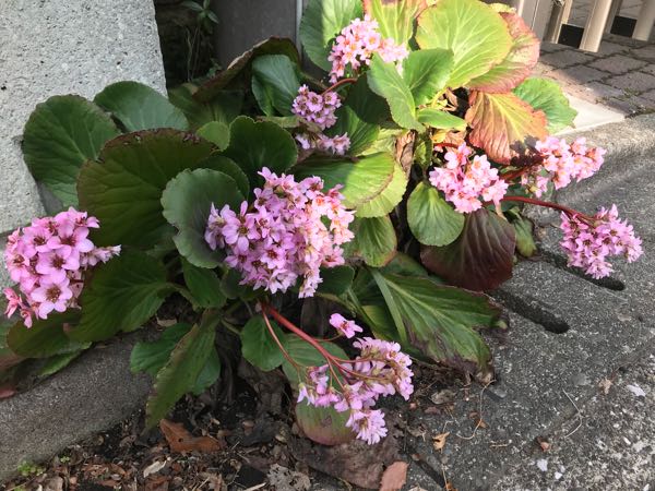 rblog-20180324163010-09.jpg