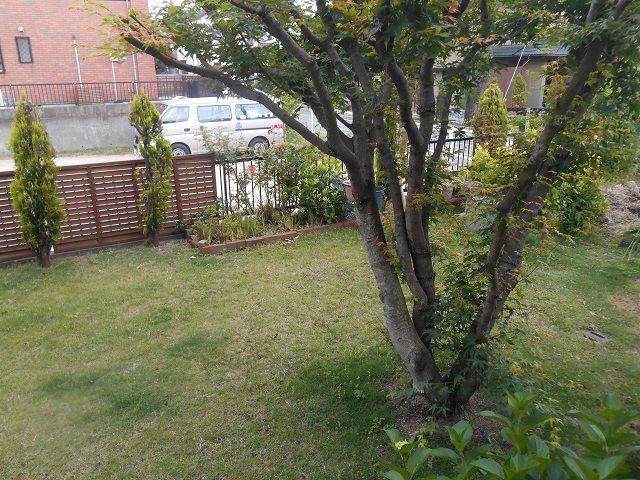 DSCN0475.JPG