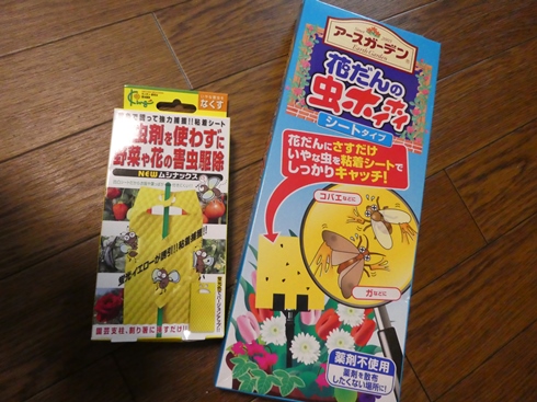 P1010185.JPG