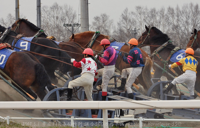 20070501Ob11RHarukomaToku_01