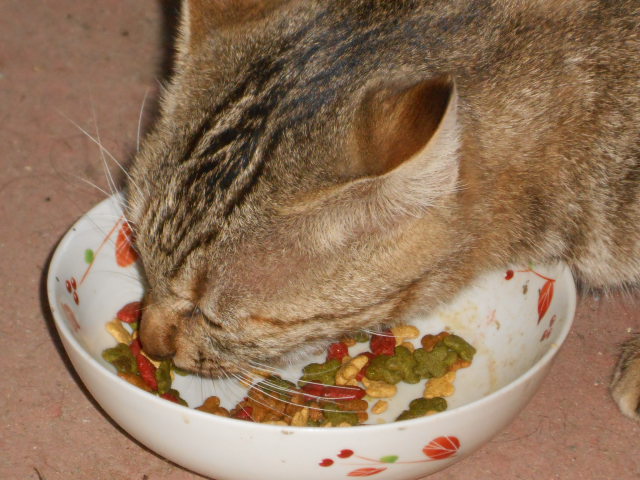 DSCN0571.JPG