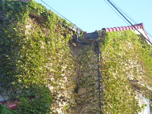P1120981(1).JPG