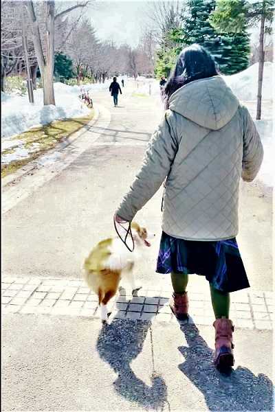 二代目看板犬まりもについて 札幌の賃貸 逍遙館 の軌跡 楽天ブログ