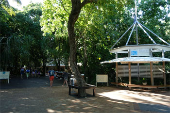 OZ397.jpg
