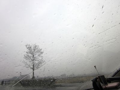 IMG_8049.JPG