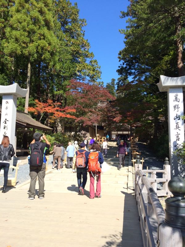 rblog-20151020185742-02.jpg