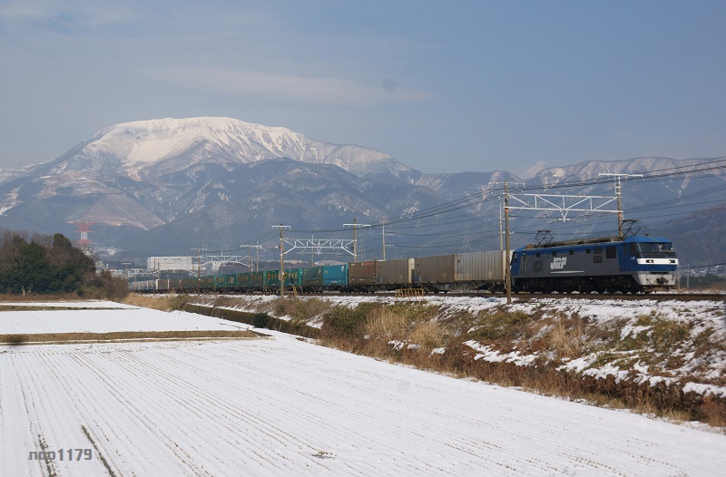 DSC_03595.jpg