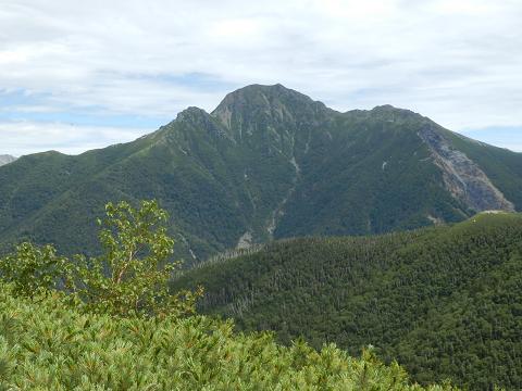 三伏山から塩見岳望む.JPG