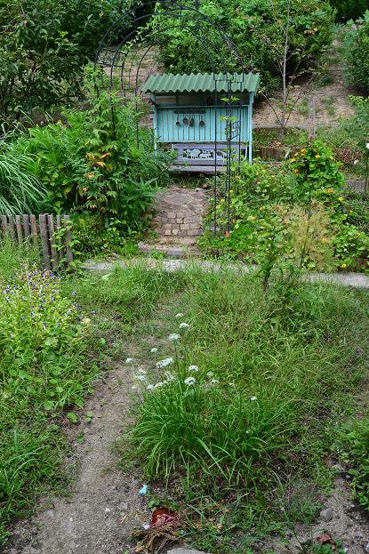 DSC_0269.JPG