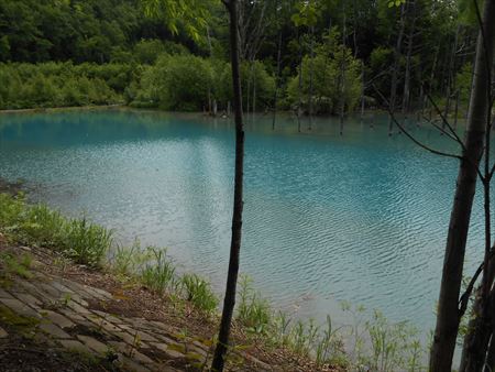 北海道旅行　青い池