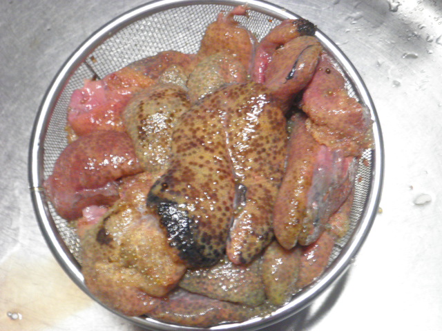 PA310065.JPG