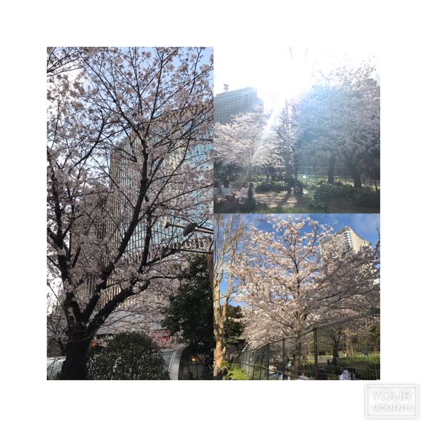 rblog-20170409085400-01.jpg
