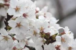 2015040404.jpg