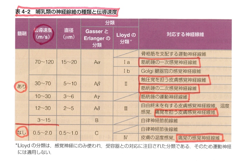 生理学 自律神経 理学療法士 国家試験対策のお部屋 楽天ブログ