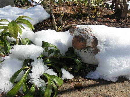 雪と羊のグッズ