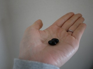 P1000265.jpg