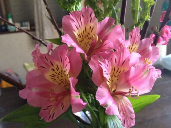 rblog-20140225162142-03.jpg