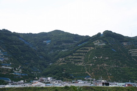 s-IMG_0039.jpg