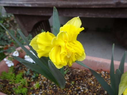 DSC00357.jpg