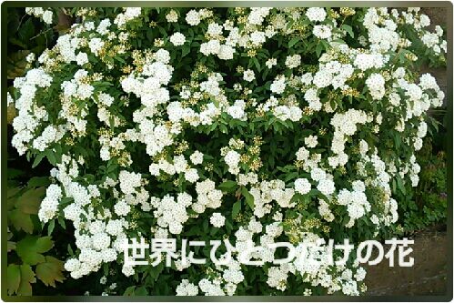 rblog-20160503111130-00.jpg