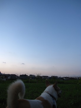 IMG_2219.JPG