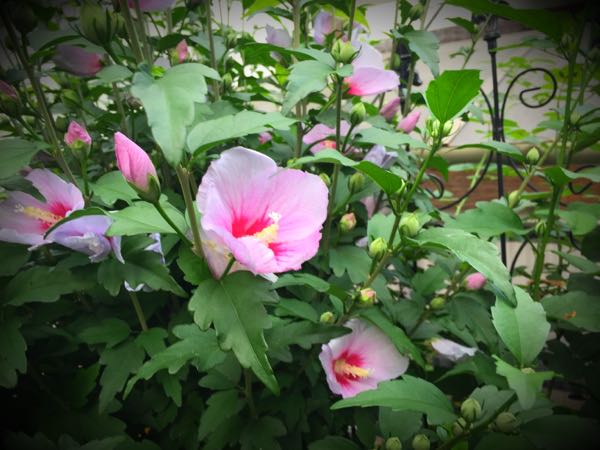 rblog-20160630184836-07.jpg