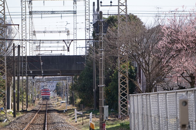 EF81 95牽引 水戸ホキ工臨 & 鹿島貨物2