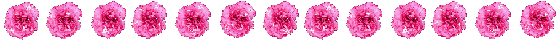 karnation-line20091[1].gif