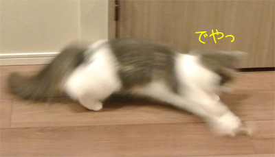 mumu3.jpg