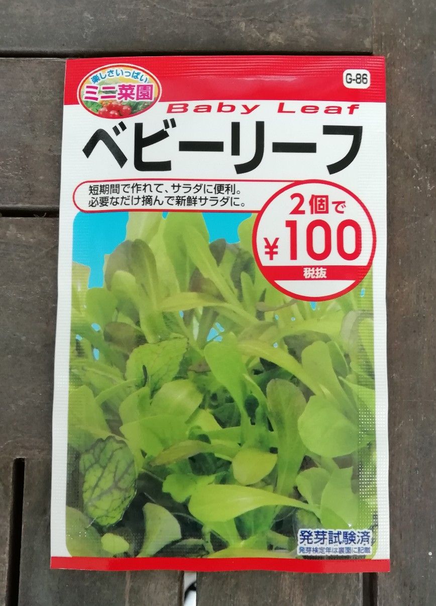 ダイソーの種 ベビーリーフ Yu Cchi 楽天ブログ