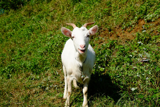 DSCF9705.jpg