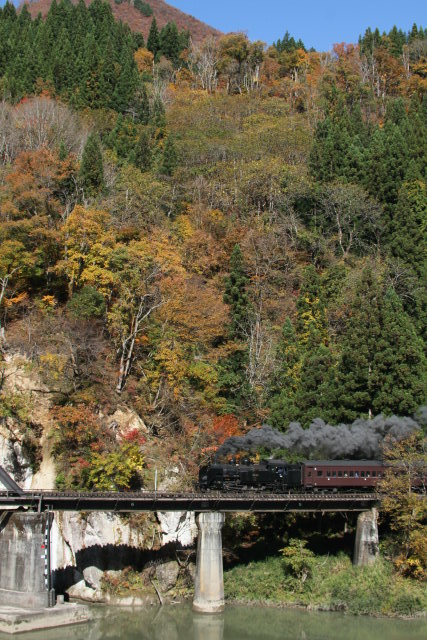 紅葉真っ盛り SL只見線紅葉号 試運転 2回目2