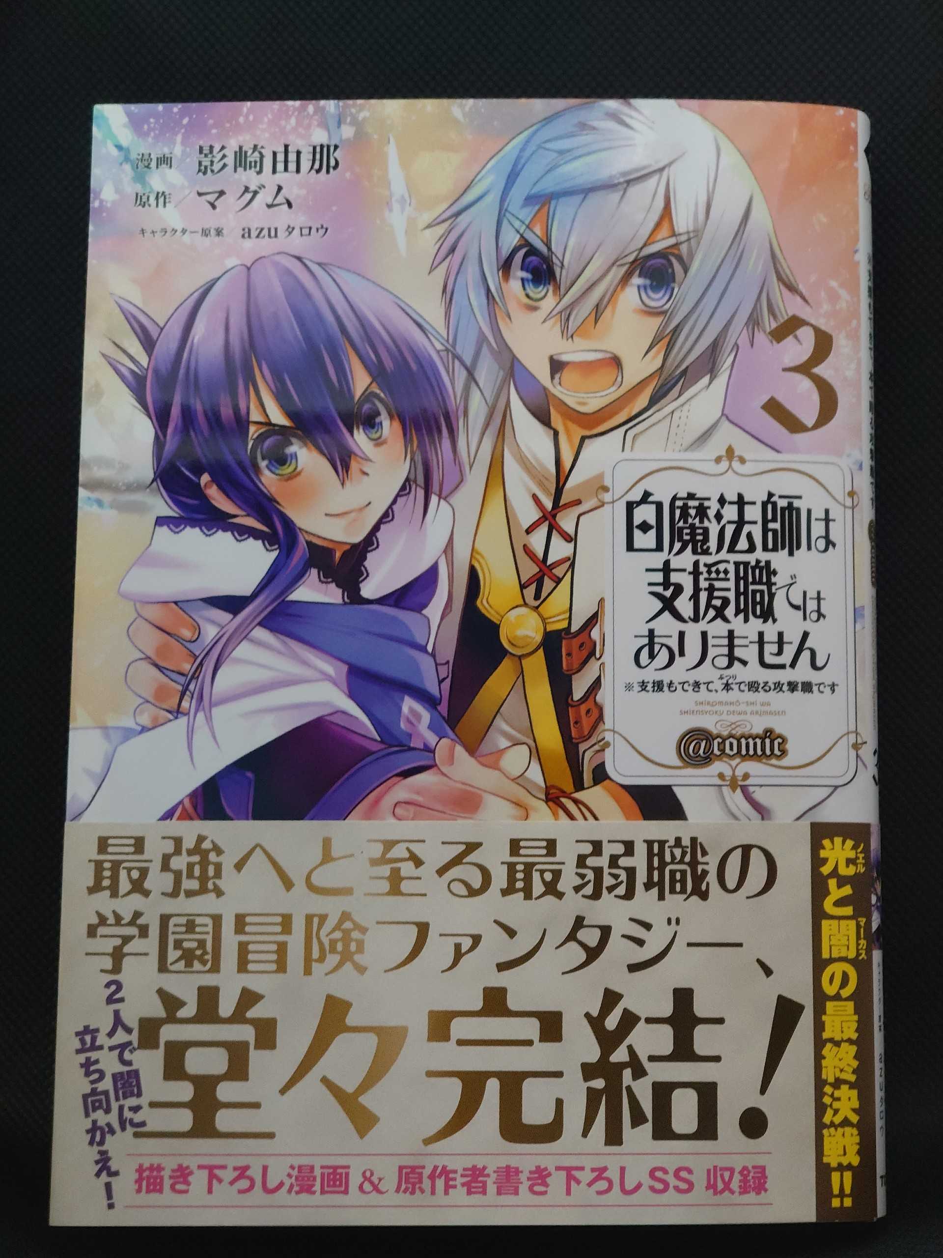 今日の１冊 ４２２日目 その３ 白魔法師は支援職ではありません 支援もできて 本 ぶつり で殴る攻撃職です Comic 異世界ジャーニー どうしても行きたい 楽天ブログ