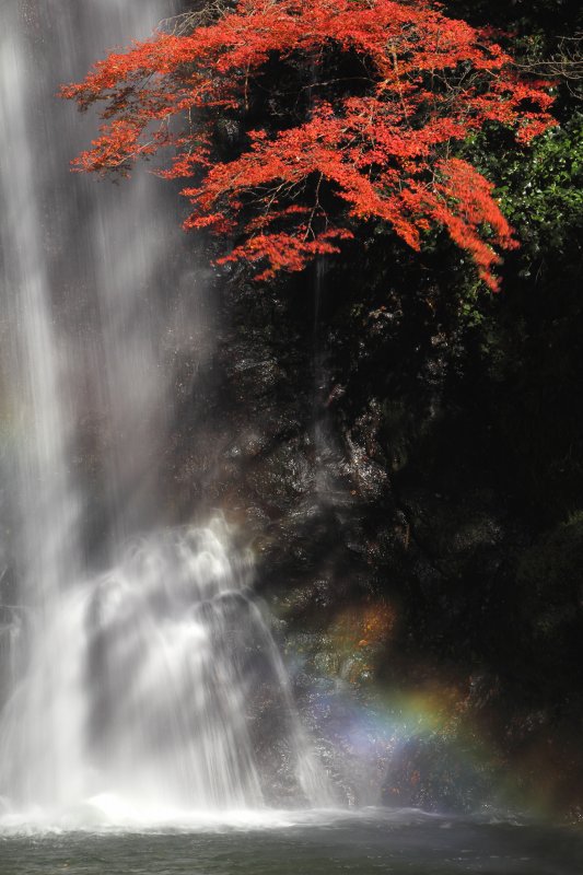 大滝虹_09.jpg